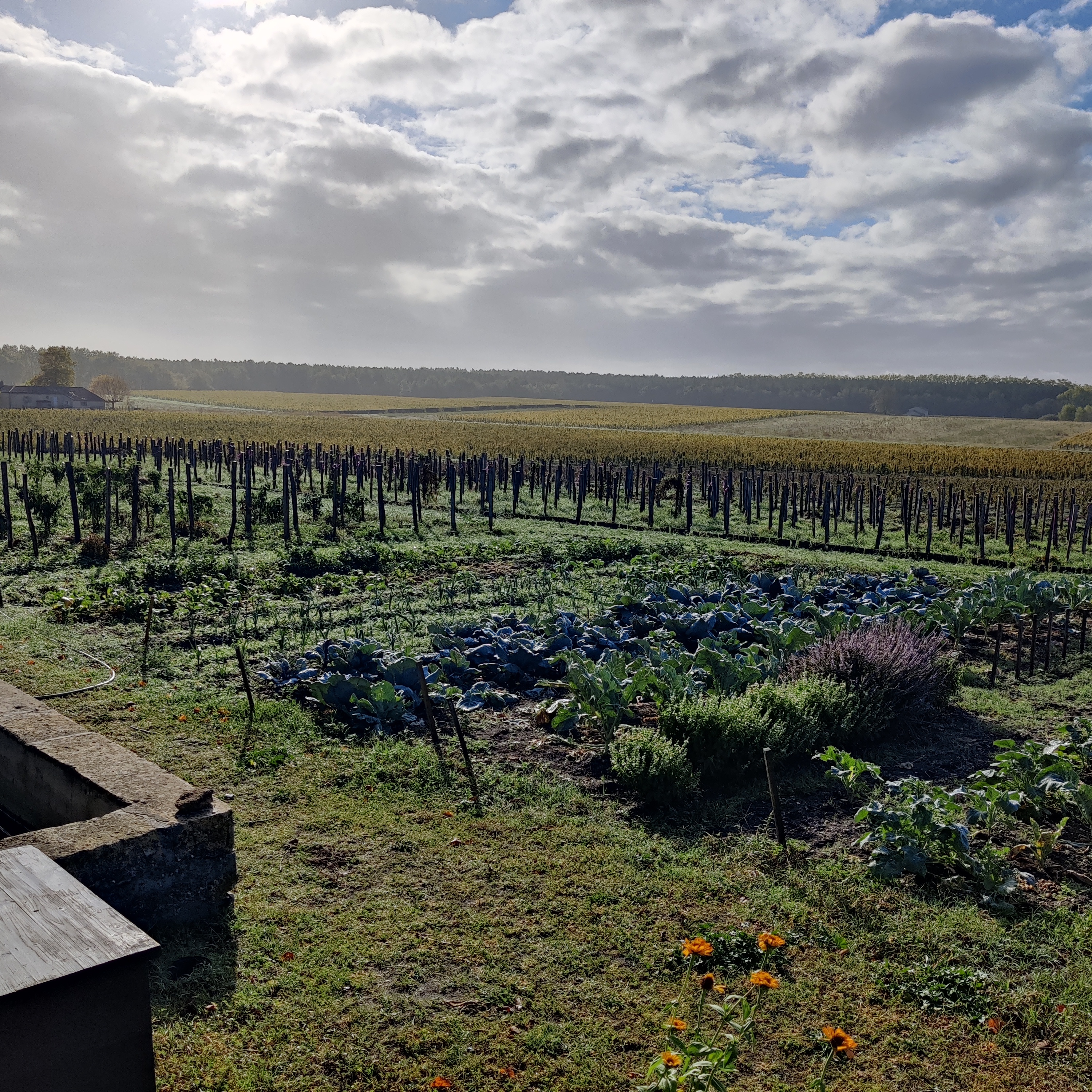Photo n° 2 de l'avis de Arnaud.a fait le 01/11/2022 à 12:22