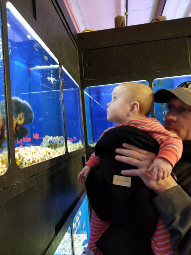 Shopping Mall «Winchester Aquarium & Pet Center», reviews and photos, 190 Costello Dr, Winchester, VA 22602, USA