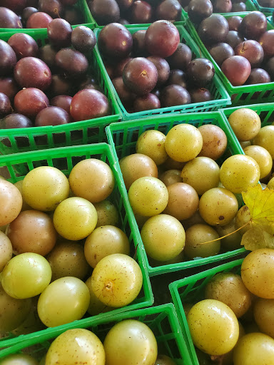 Produce Market «Country Store», reviews and photos, 490-498 S Main St, Jonesboro, GA 30236, USA