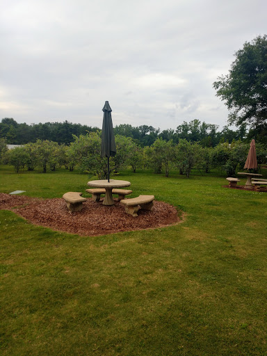 Vineyard «Morgan Creek Vineyards», reviews and photos, 181 Morgan Creek Ln, Harpersville, AL 35078, USA