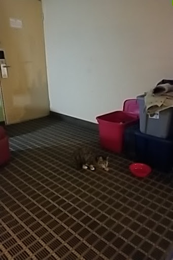 Car Dealer «Roberts Toyota», reviews and photos, 1027 Nashville Hwy, Columbia, TN 38401, USA