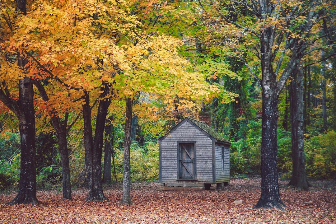 Henry David Thoreau Replica Cabin