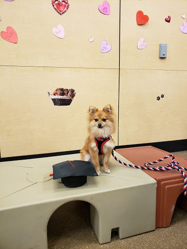 Pet Supply Store «PetSmart», reviews and photos, 2901 Texas Sage Trail, Fort Worth, TX 76177, USA