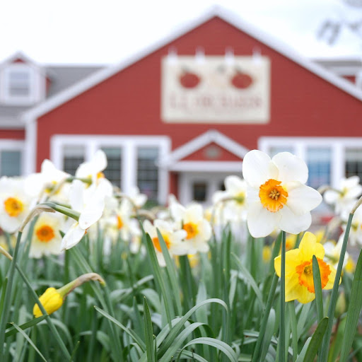 Market «E Z Orchards Farm Market», reviews and photos, 5504 Hazelgreen Rd NE, Salem, OR 97305, USA