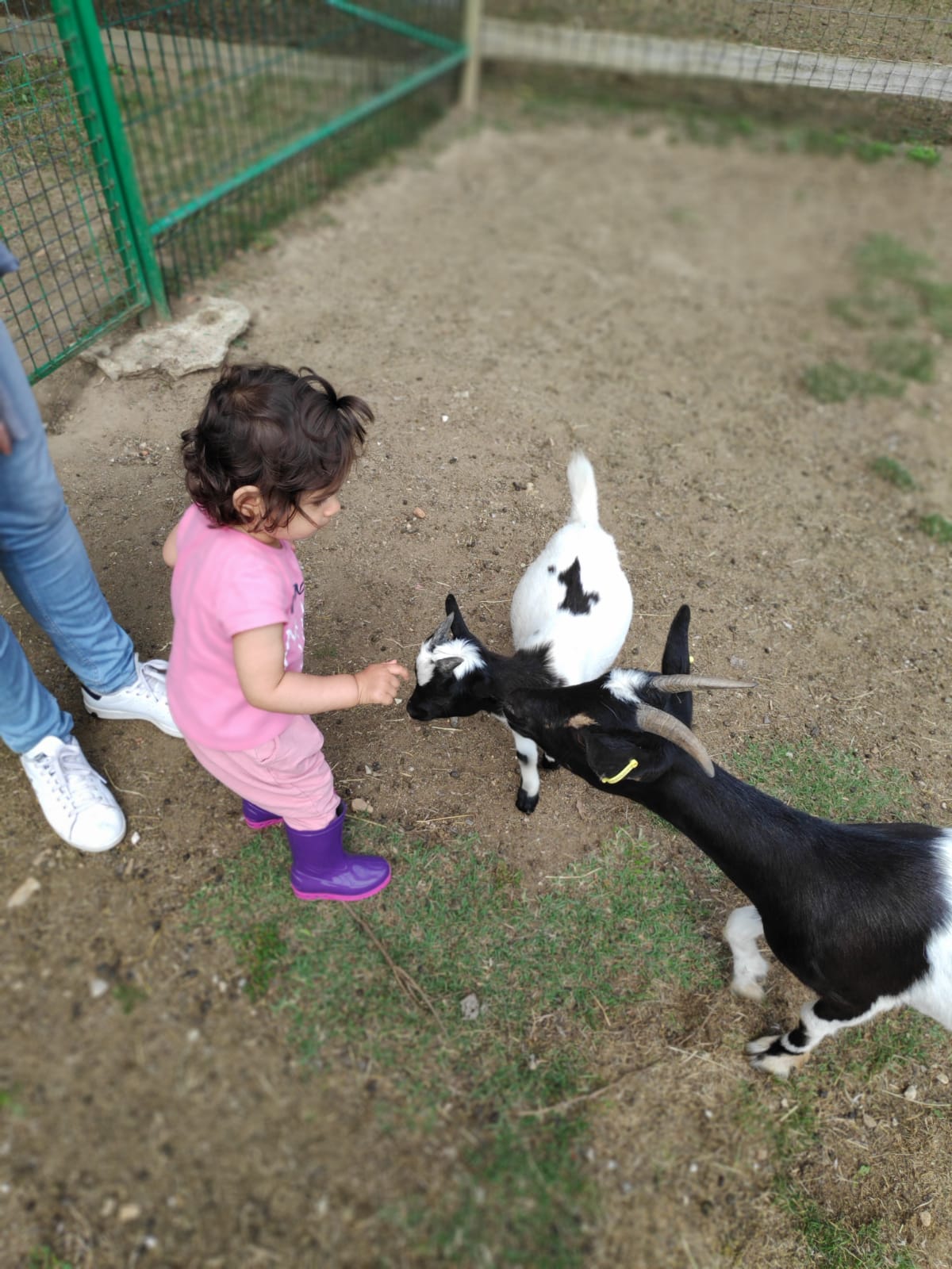Photo n° 2 de l'avis de Sophie.a fait le 20/08/2019 à 07:20