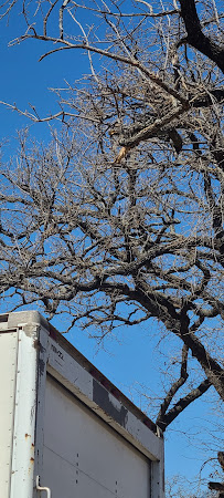 Rocket Tow - Photo 3 - Car repair in Fort Worth, TX, Fort Worth