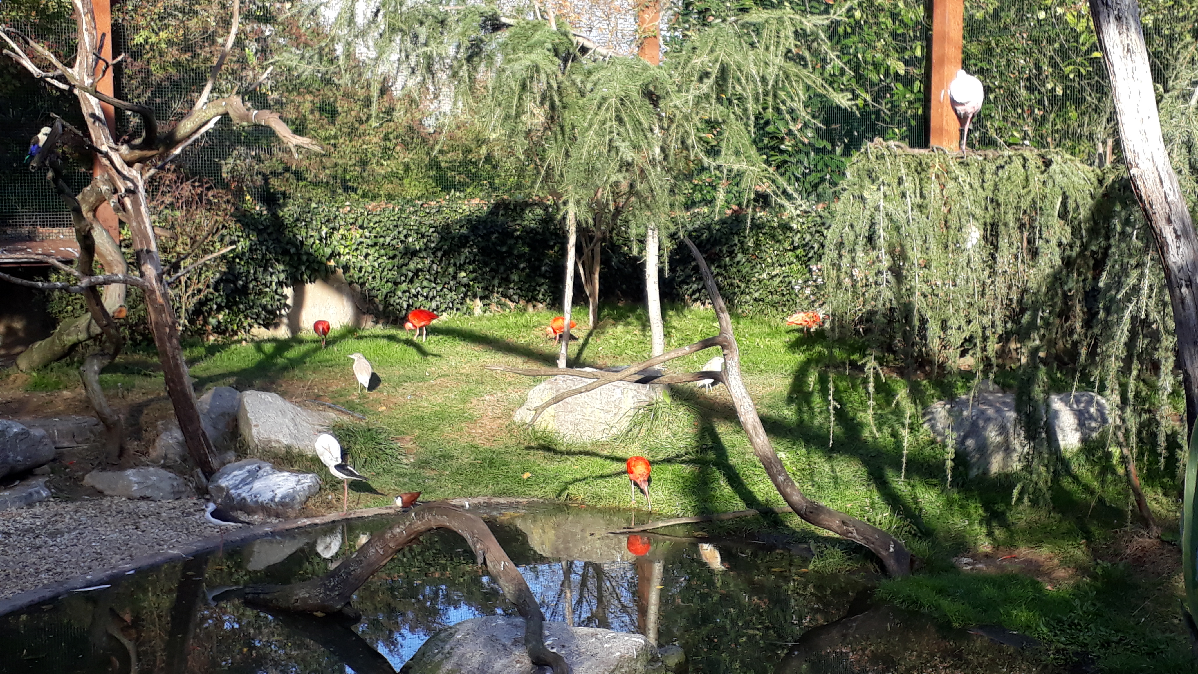 Photo n° 6 de l'avis de Mickaël.a fait le 06/11/2018 à 17:43