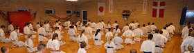 Farum Kyokushin Karate