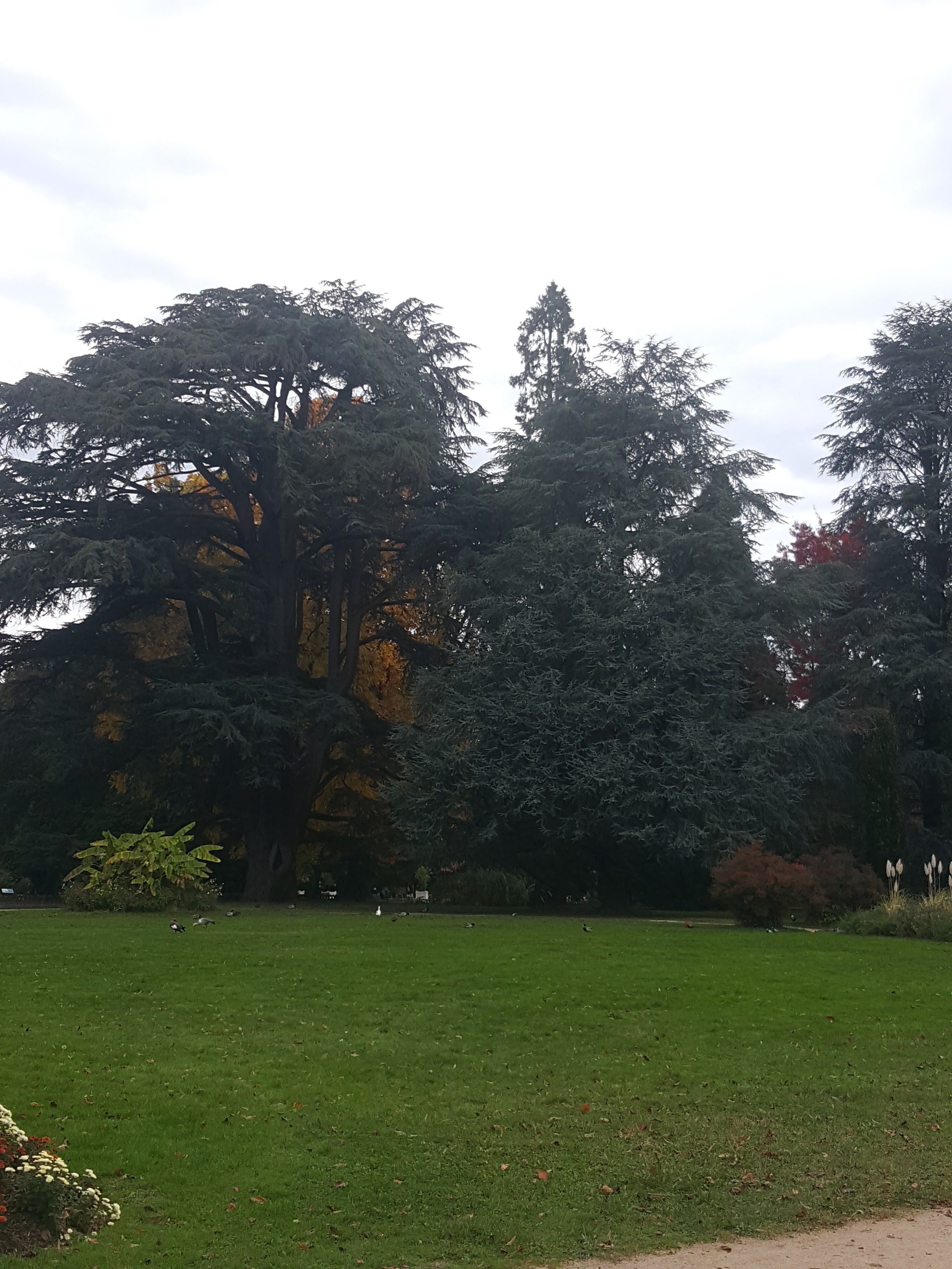 Photo n° 2 de l'avis de Sylvie.o fait le 25/10/2020 à 15:54