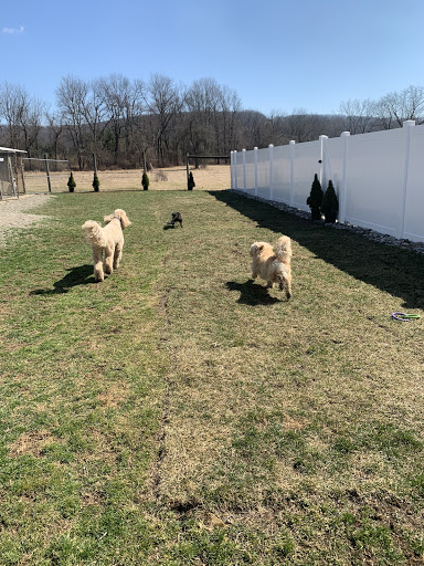 Green Acres Pet Resort