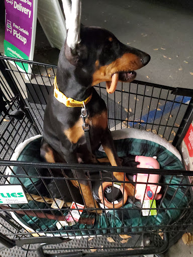 Pet Supply Store «Pet Supplies Plus», reviews and photos, 1411 S Stockton St, Lodi, CA 95240, USA