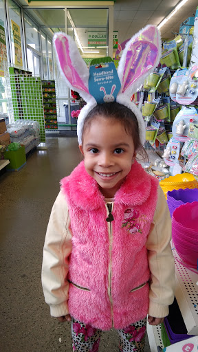 Dollar Store «Dollar Tree», reviews and photos, 492 New Haven Ave, Derby, CT 06418, USA