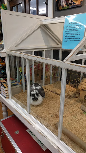 Gift Shop «The Wrinkled Egg», reviews and photos, 2710 NC-225, Flat Rock, NC 28731, USA