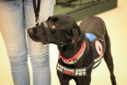 Craft Store «Hobby Lobby», reviews and photos, 751 E Hillside Dr, Broken Arrow, OK 74012, USA