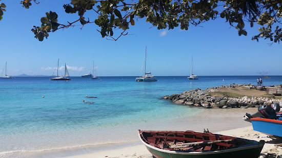 Basil's beach