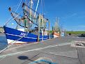 Robbies Nest 27639 Wurster Nordseeküste