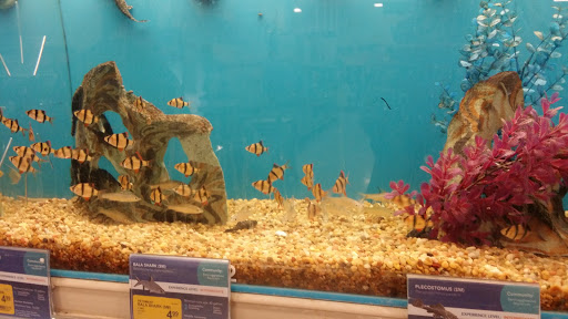 Pet Supply Store «PetSmart», reviews and photos, 3501 Catclaw Dr, Abilene, TX 79606, USA