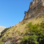 Photo n°3 de l'avis de chelimandra.r fait le 25/08/2021 à 11:16 sur le  Bar trattoria Pizzeria Cava Grande Ra Zia Gina à Avola