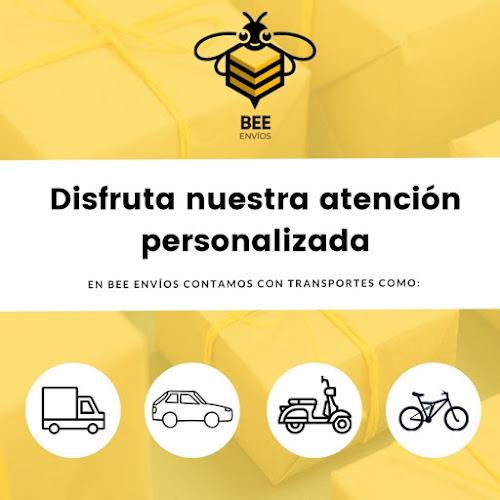 Bee-envios - Metropolitana de Santiago