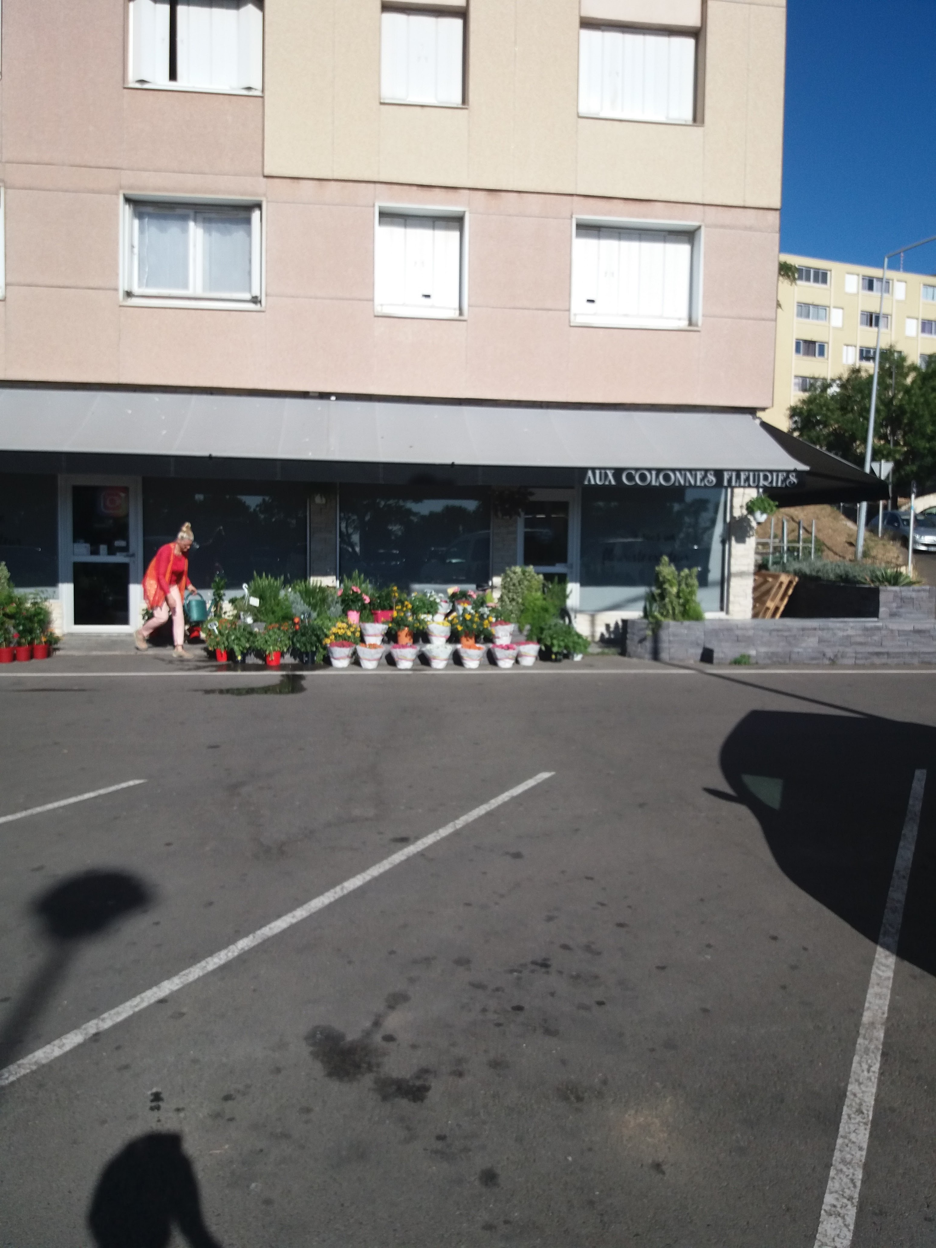 Photo n° 1 de l'avis de F. fait le 07/07/2017 à 10:04