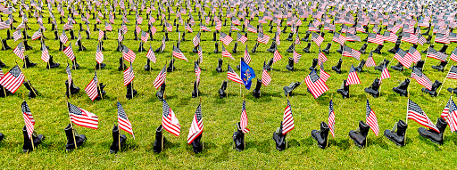 Operation Stand Down