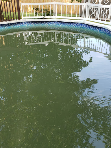 Swimming Pool «Fox Pools & Spas», reviews and photos