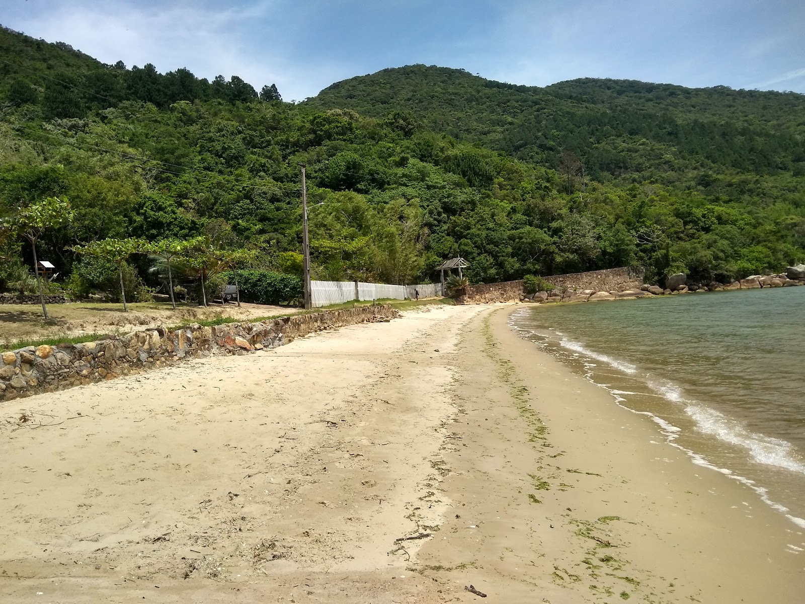 Praia de Aracatuba'in fotoğrafı çok temiz temizlik seviyesi ile