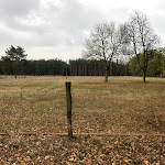 Photo n°3 de l'avis de Arne.� fait le 29/10/2018 à 15:33 sur le  Ferienhaus Lübtheener Heide à Belsch