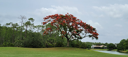 Golf Club «Stoneybrook Golf Club», reviews and photos, 21251 Stoneybrook Golf Blvd, Estero, FL 33928, USA