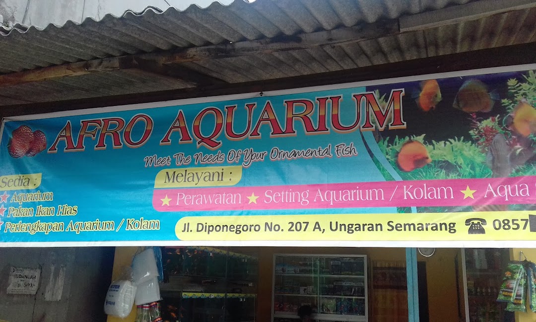 Afro Aquarium