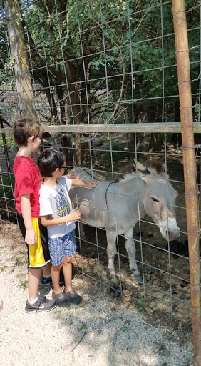 Zoo «Cricket Hollow Zoo», reviews and photos, 1512 210th St, Manchester, IA 52057, USA