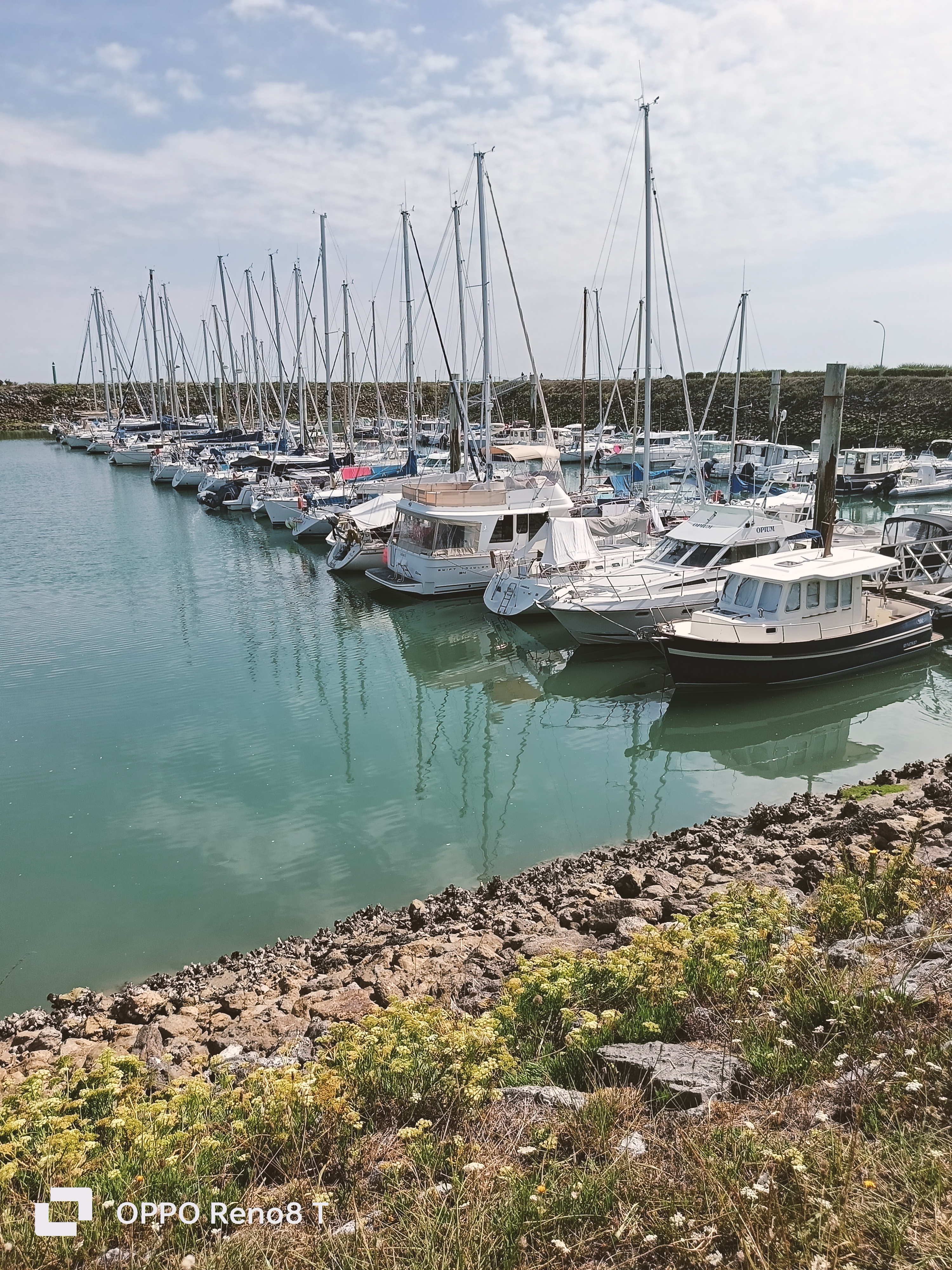 Photo n° 12 de l'avis de M-G. fait le 17/08/2023 à 12:46