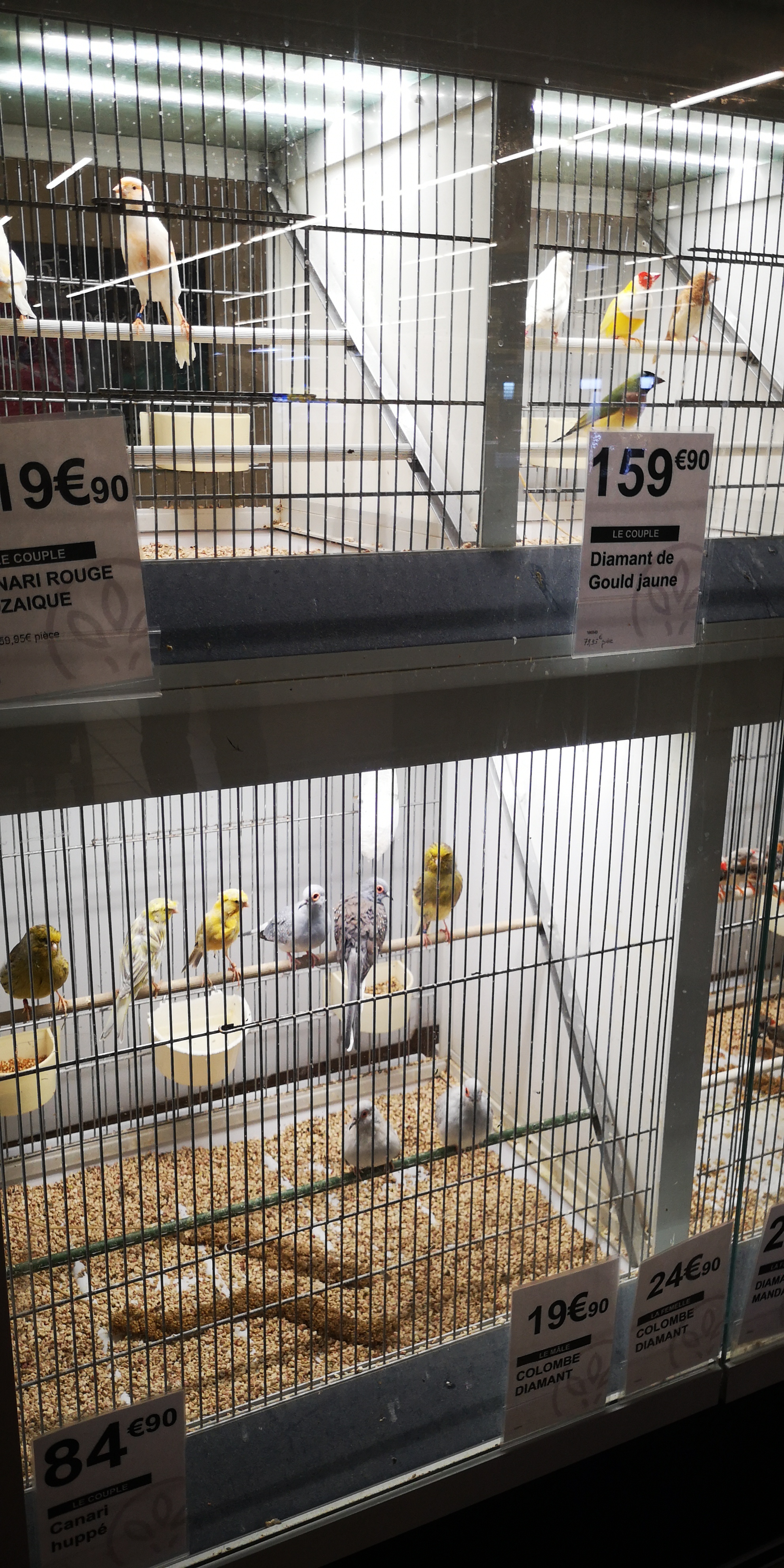 Photo n° 10 de l'avis de Mon.o fait le 31/05/2019 à 16:17