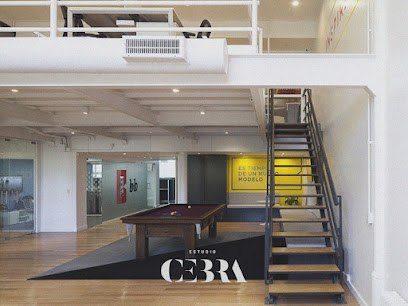 Estudio Cebra | diseño de locales comerciales | diseño de oficinas