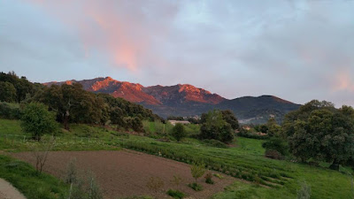 BIORTU EARL à Petreto-Bicchisano