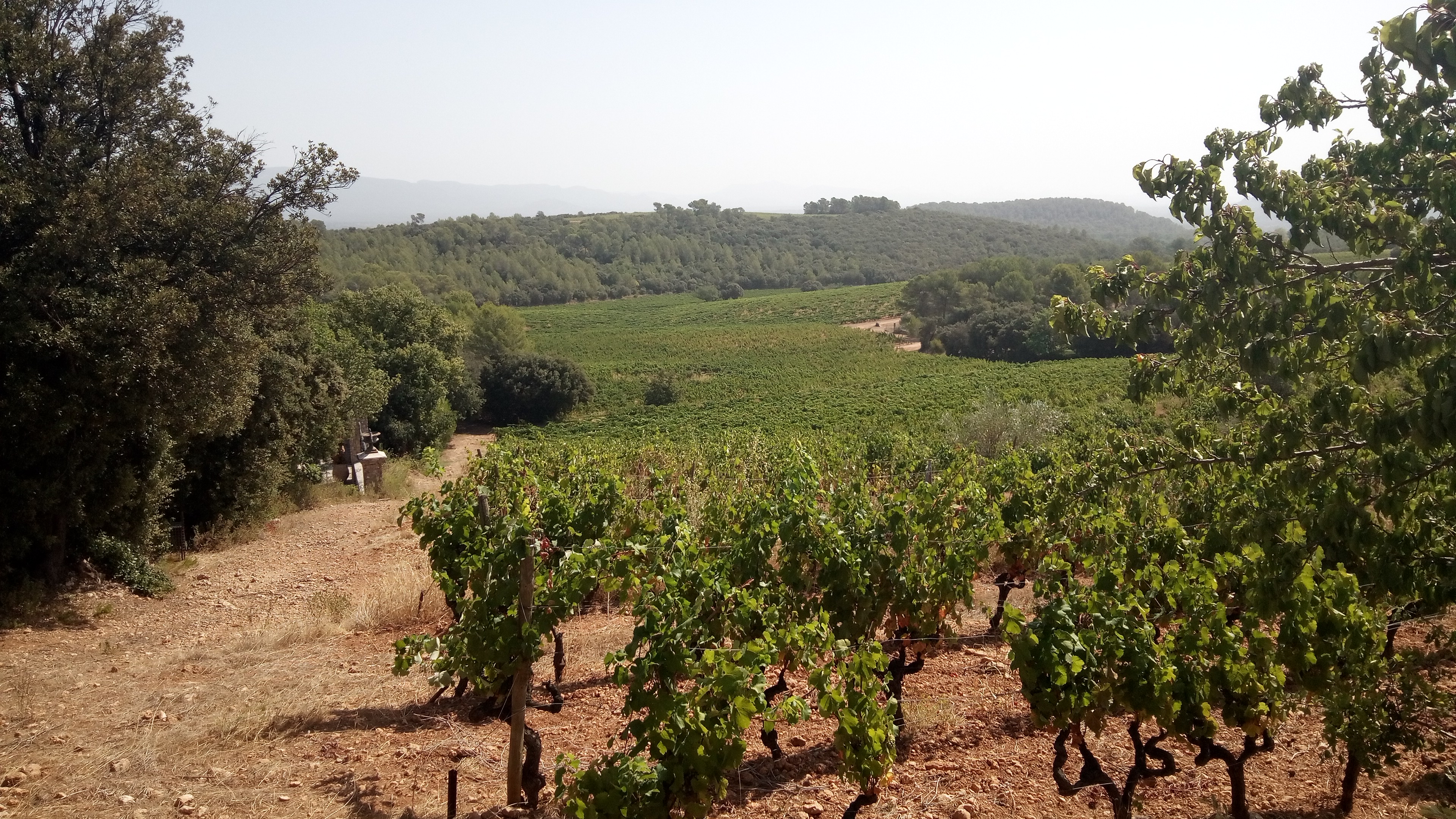 Photo n° 9 de l'avis de Stéphane.o fait le 15/08/2021 à 13:23