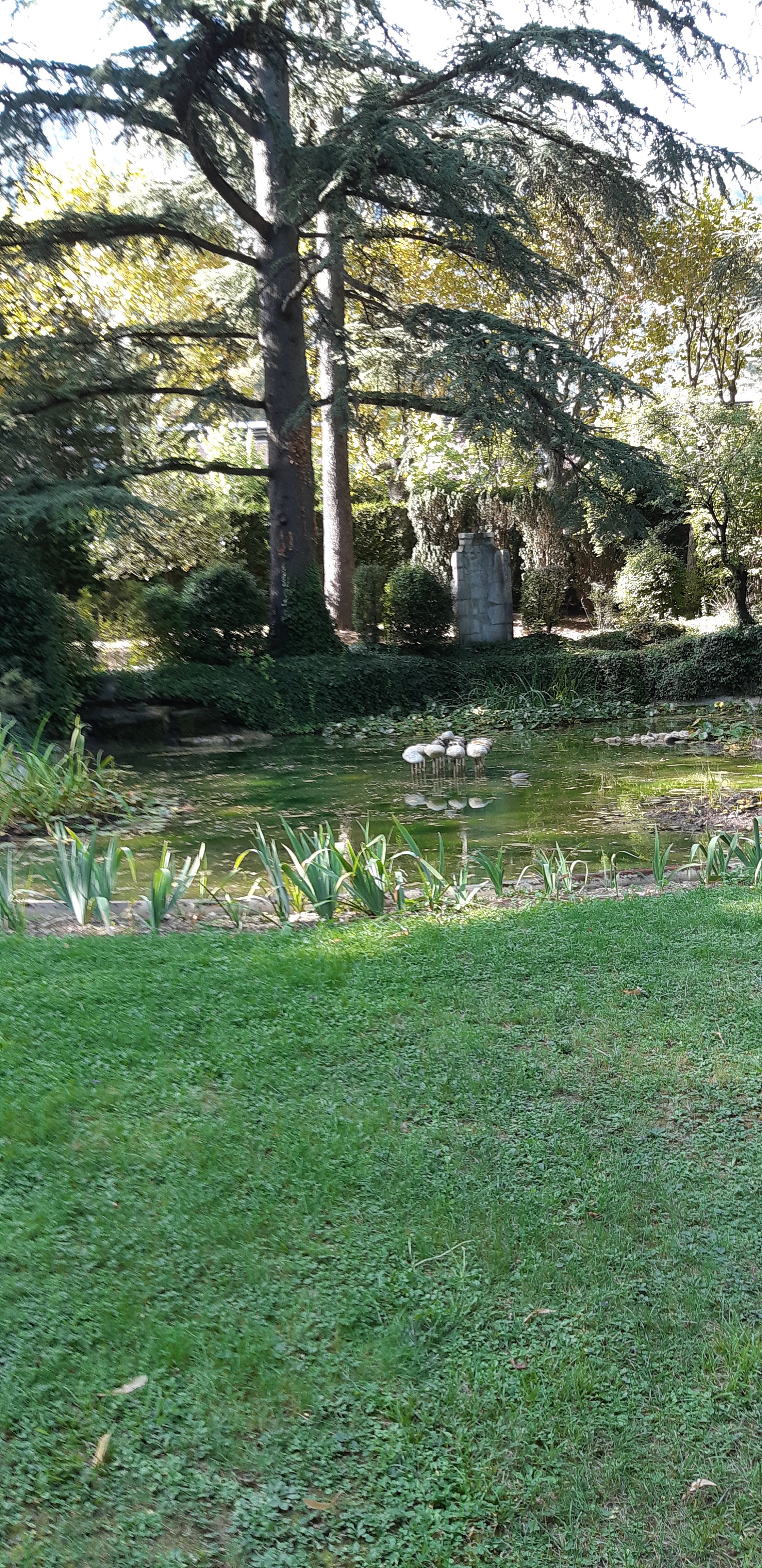 Photo n° 1 de l'avis de Régis.o fait le 21/09/2019 à 18:38