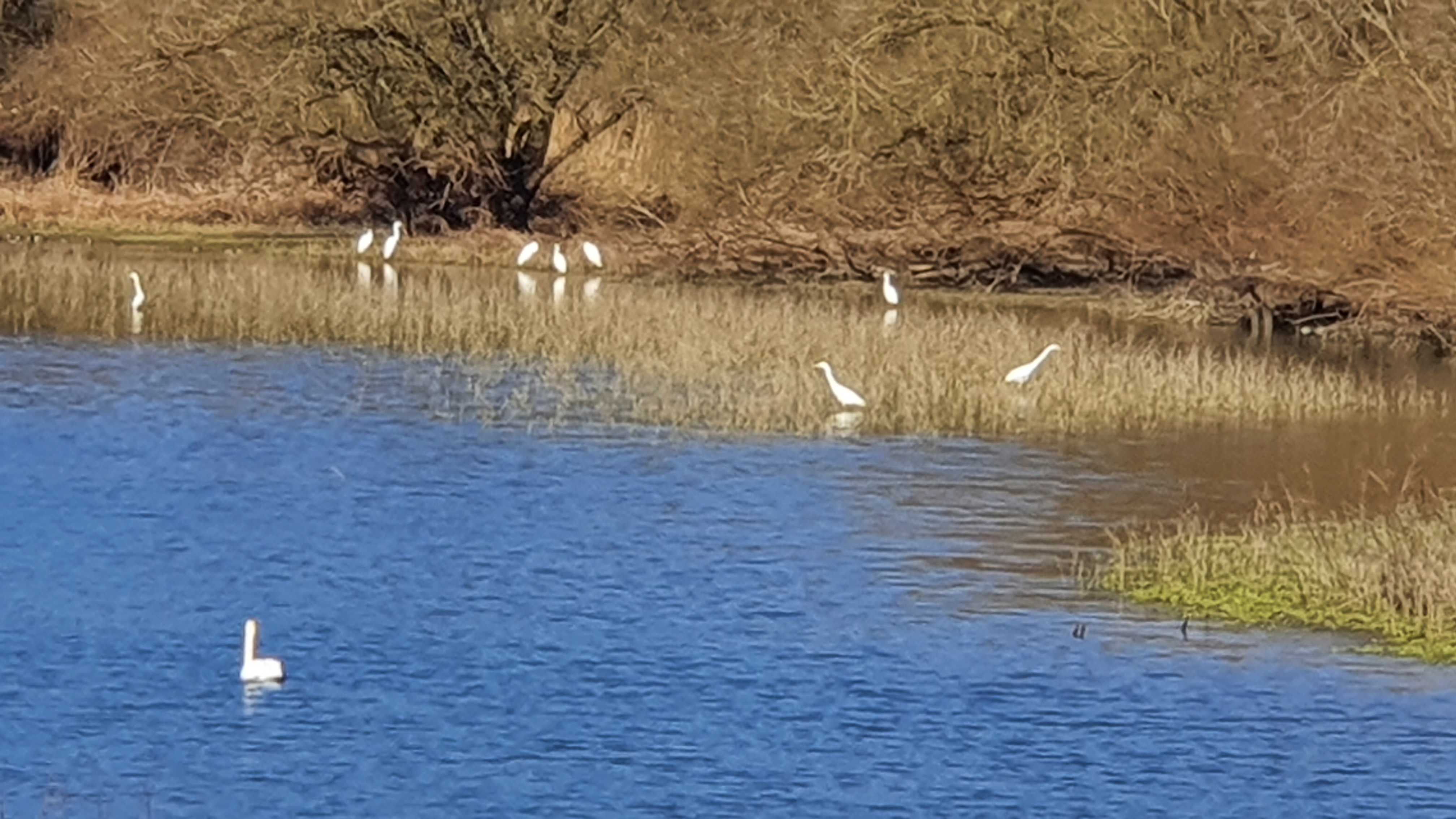 Photo n° 12 de l'avis de Marc.A fait le 28/02/2022 à 12:14