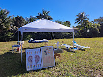 The Qi House - Home of Classical Acupuncture & Chinese Medicine - Photo 9 - Car repair in Miramar, FL, Miami