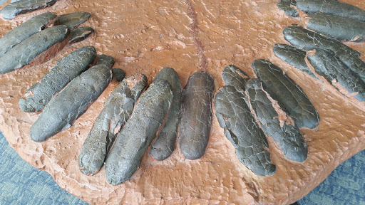 Imax Theater «IMAX at the Maryland Science Center», reviews and photos, 601 Light St, Baltimore, MD 21230, USA