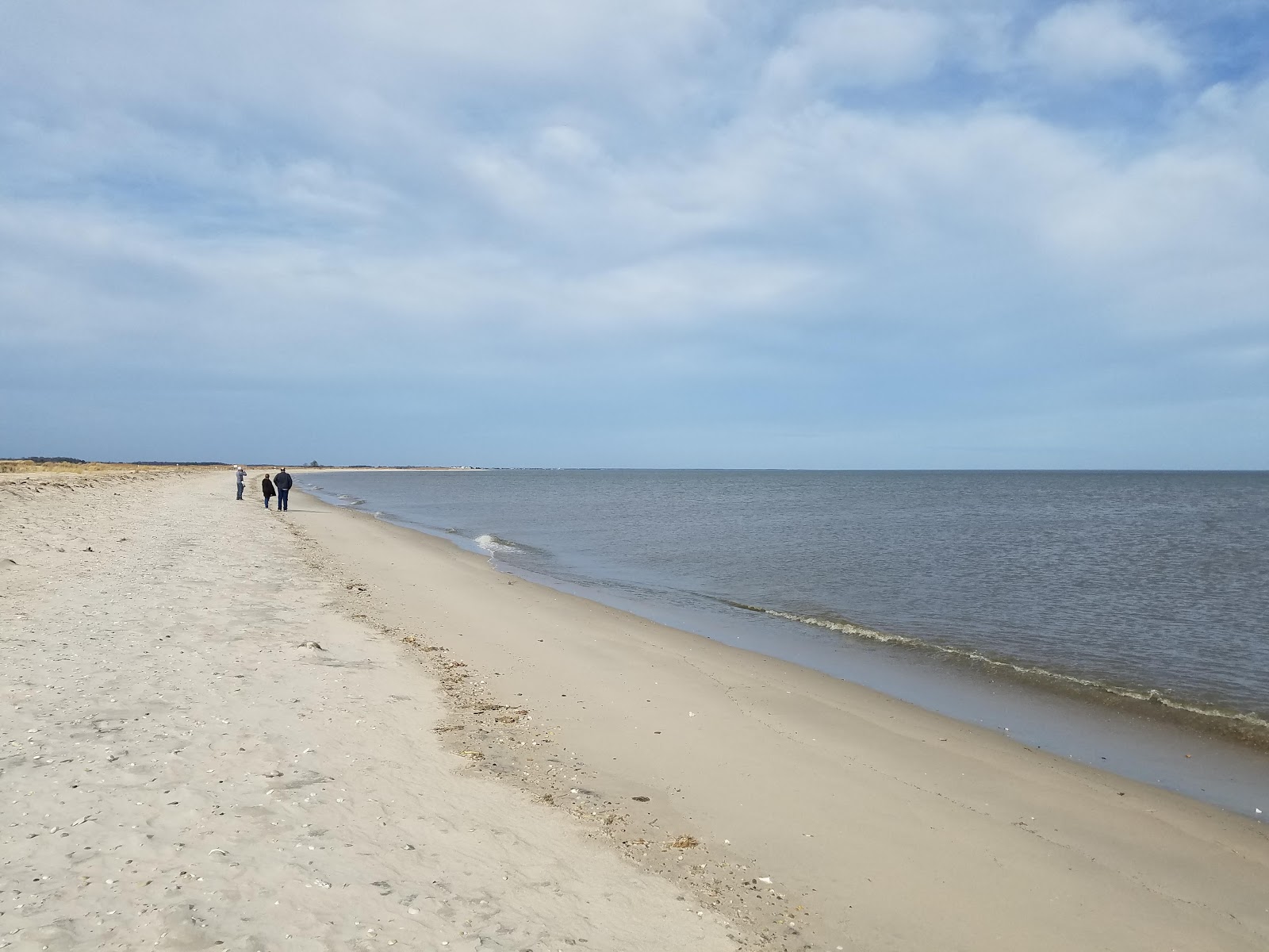 Fowler Beach的照片 带有灰沙表面