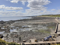 Victoria Park Beach'in fotoğrafı çok temiz temizlik seviyesi ile
