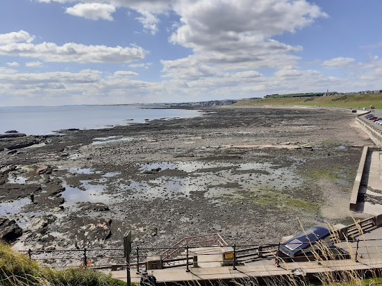 Victoria Park Beach