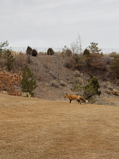 Golf Course «The Ridge Golf Course», reviews and photos, 5055 Westridge Blvd, West Valley City, UT 84118, USA