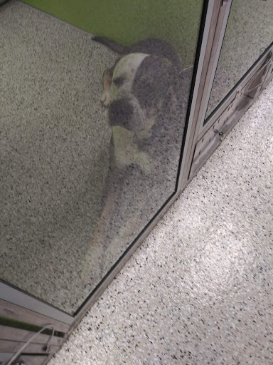 Animal Shelter «KC Pet Project - Main Adoption Center», reviews and photos