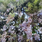 Photo n°2 de l'avis de tiziana.i fait le 15/05/2023 à 06:40 sur le  Giomici Castle à Valfabbrica