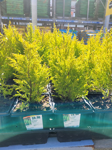 Home Improvement Store «The Home Depot», reviews and photos, 1650 SE Ensign Ln, Warrenton, OR 97146, USA