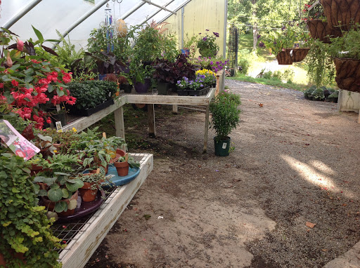 Garden Center «Victoria Gardens», reviews and photos, 1 Cottekill Rd, Rosendale, NY 12472, USA
