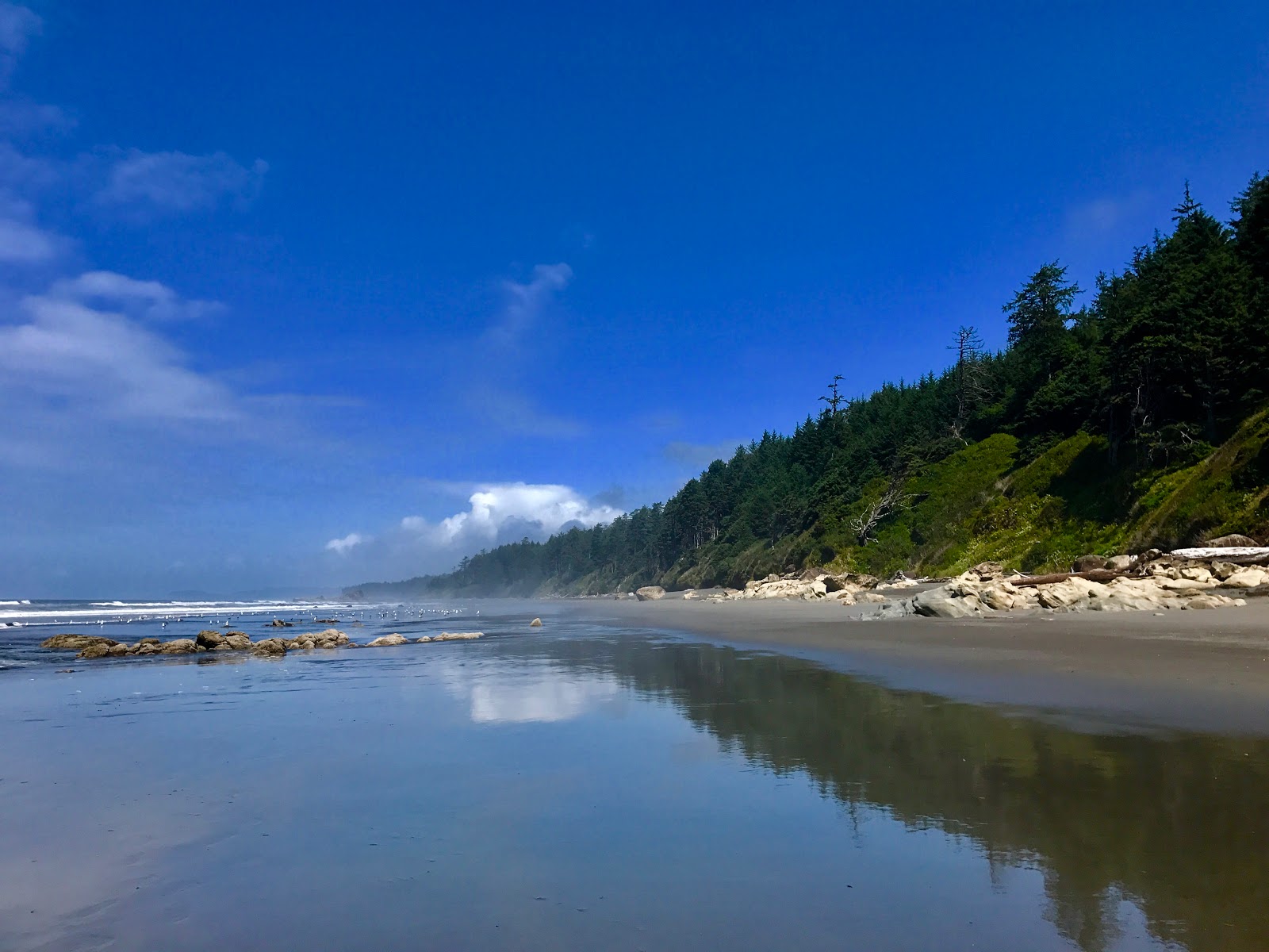 Photo de Ruby Beach avec sable gris avec caillou de surface