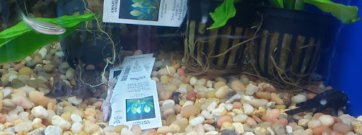 Pet Supply Store «Pet Supermarket, Inc.», reviews and photos, 598 N McCarran Blvd, Sparks, NV 89431, USA